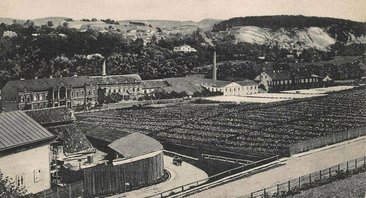 „Gryzienie stali”. Kolonia Wileńska 7 lipca 1944 r.